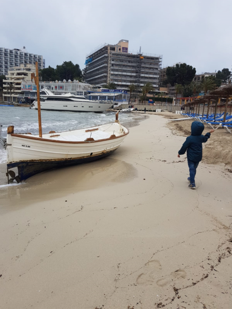 Imagen de galer&iacute;a 509