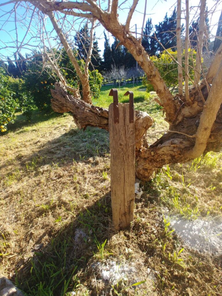 Imagen de galería 966