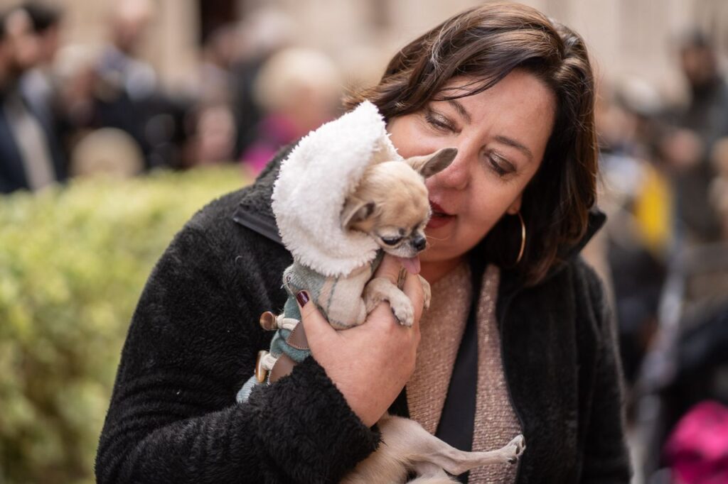 Imagen de galería 1625