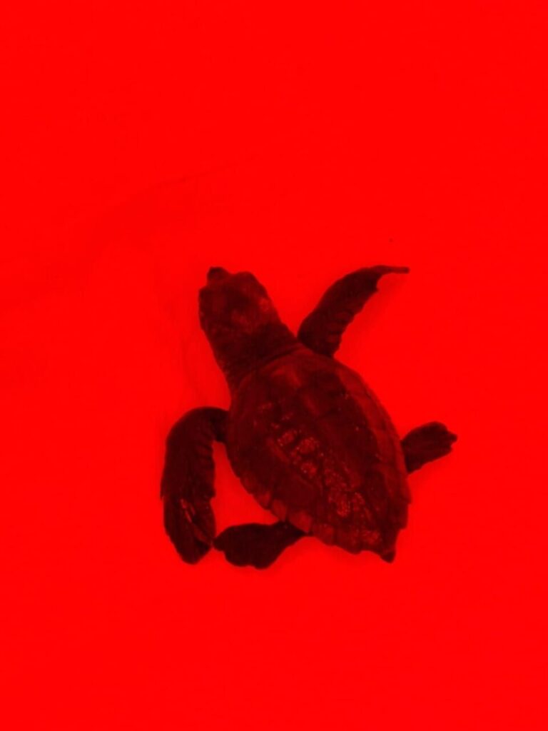 Imagen de galer&iacute;a 1474