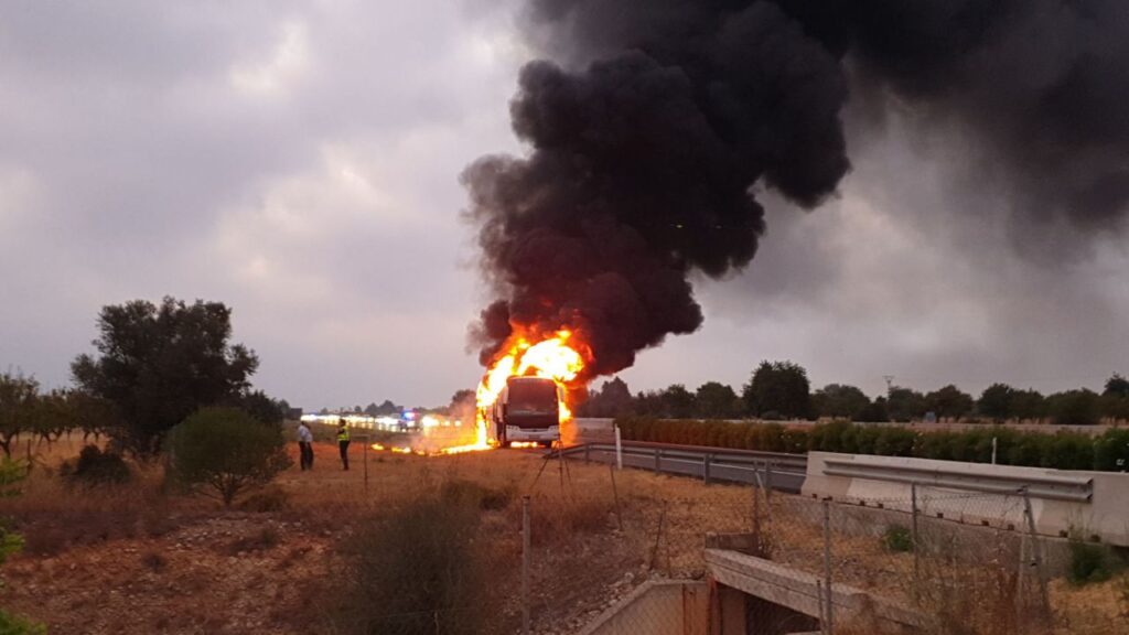 Imagen de galería 571