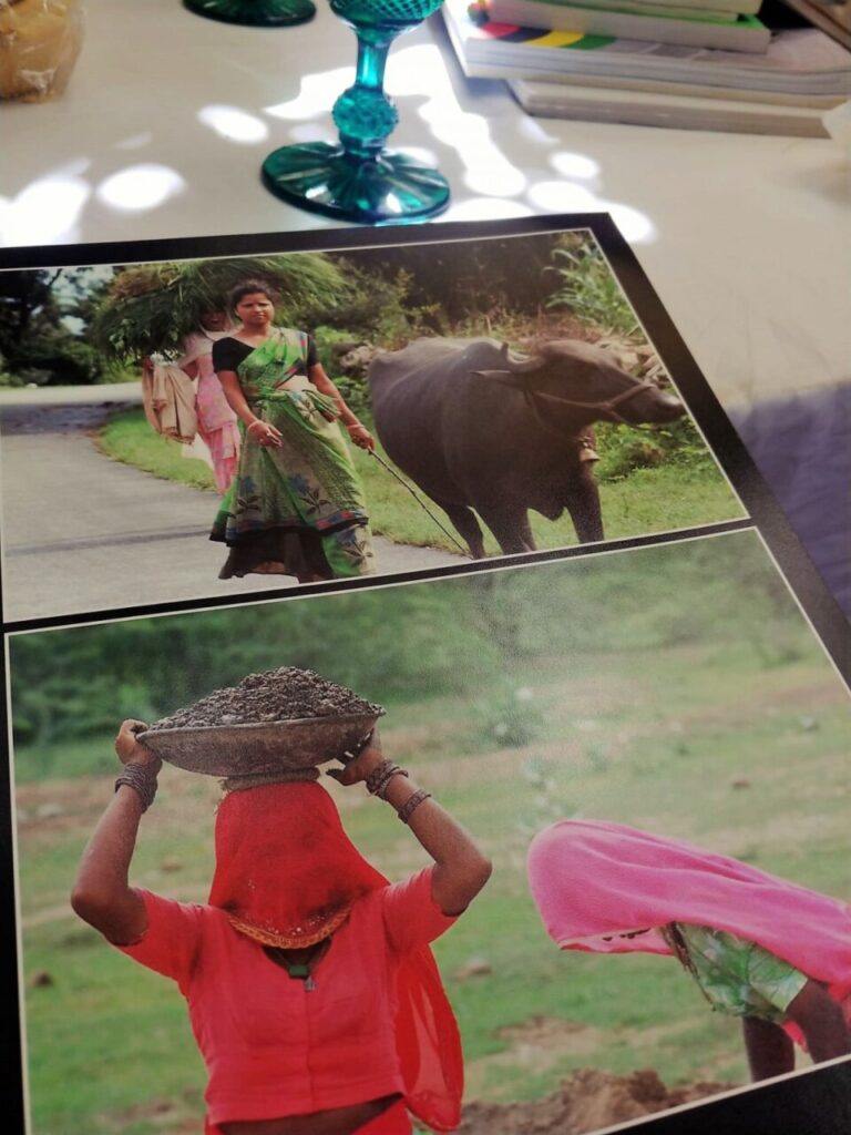 Imagen de galería 1086