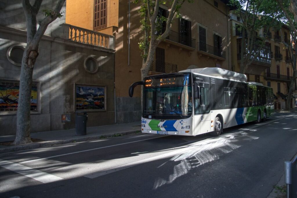 Imagen de galería 715