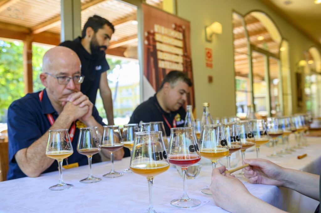 Imagen de galería 1112