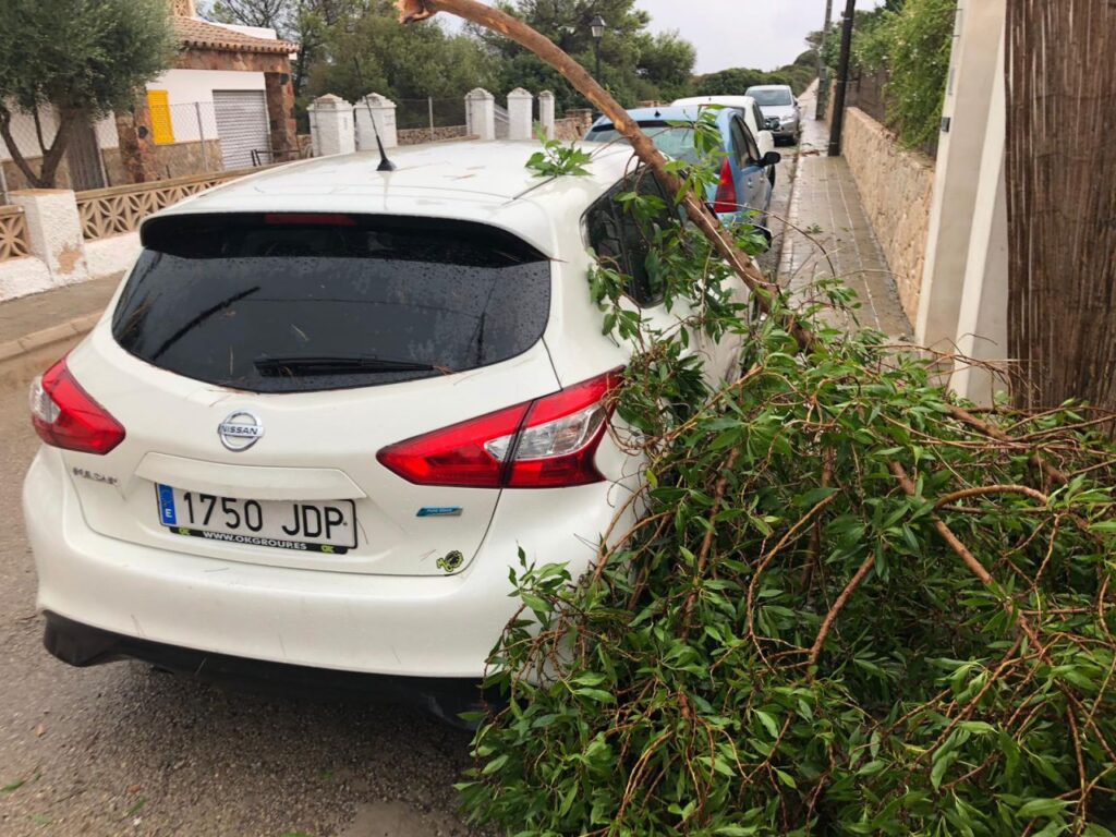 Imagen de galería 600