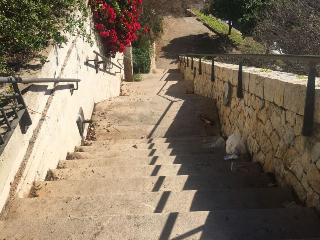 Imagen de galer&iacute;a 688