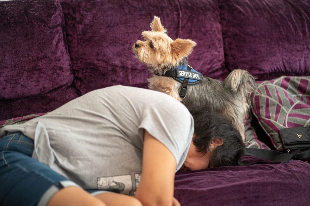 Imagen de galería 1872