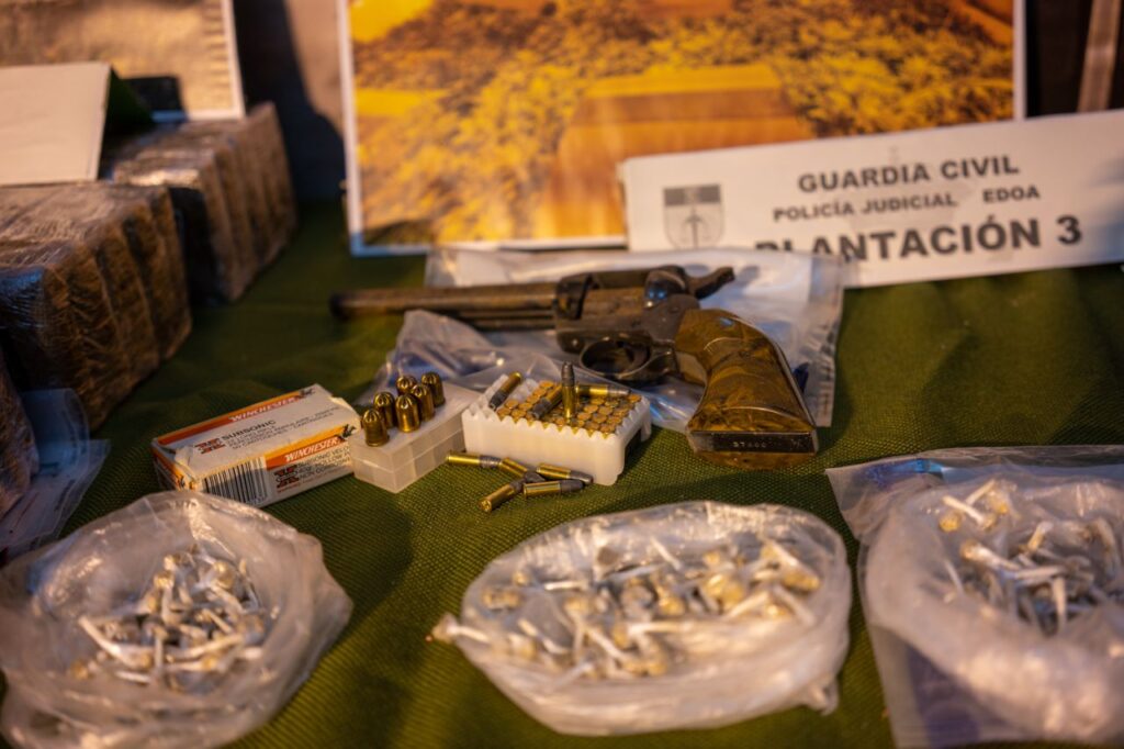 Imagen de galer&iacute;a 992