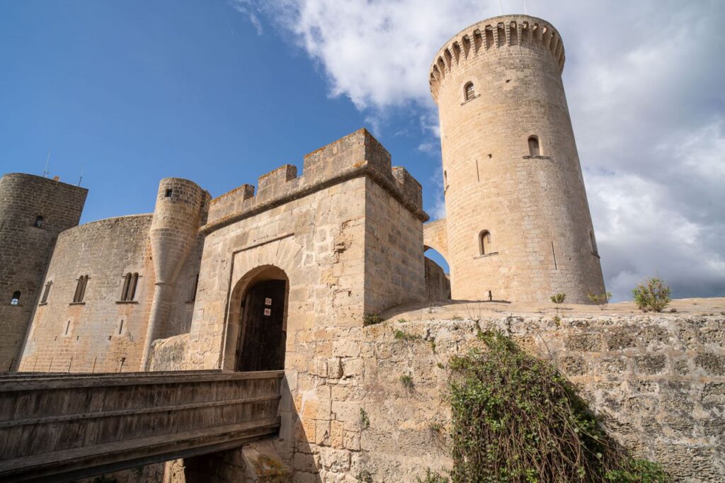 Imagen de galería 1756