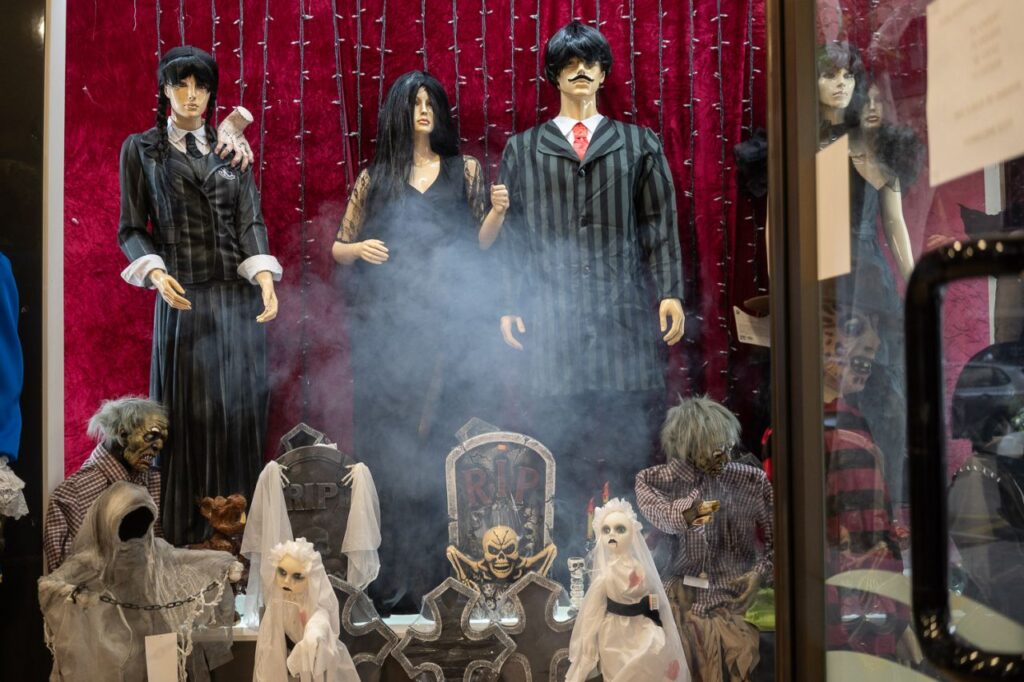 Imagen de galería 1544