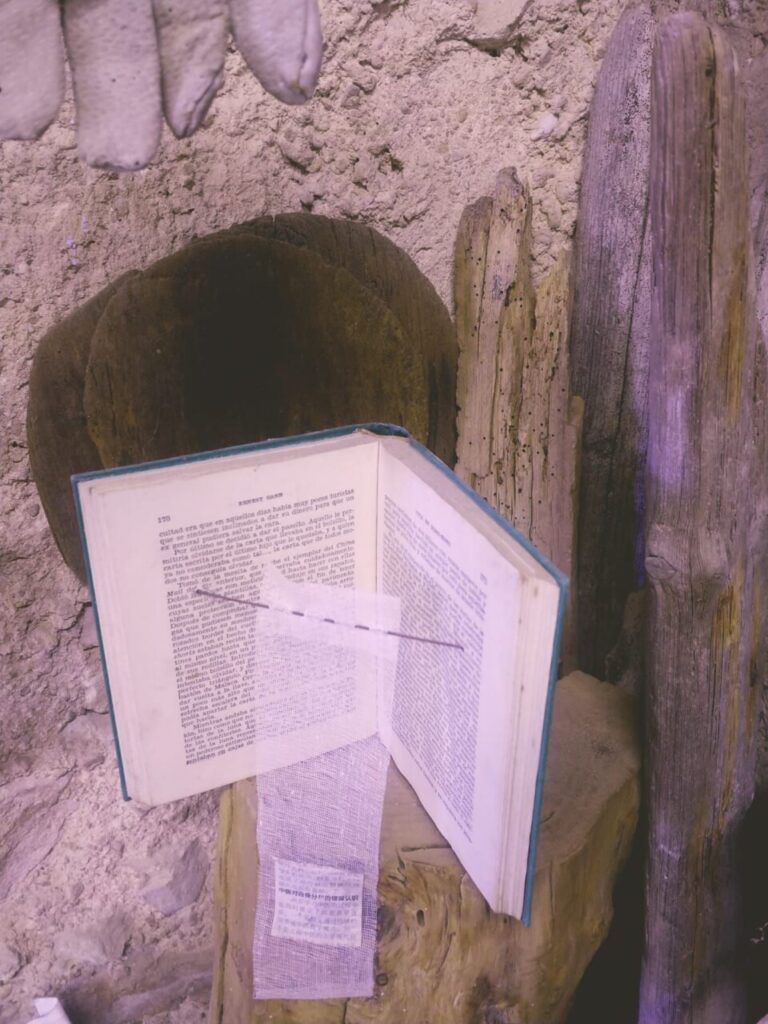 Imagen de galer&iacute;a 1185