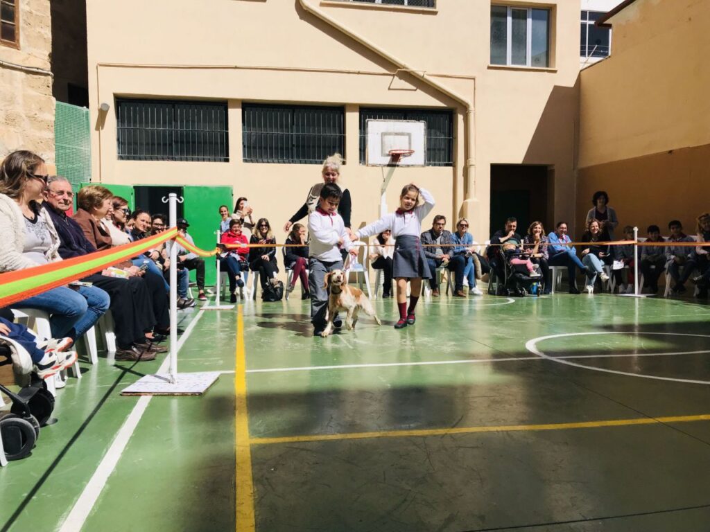 Imagen de galería 501