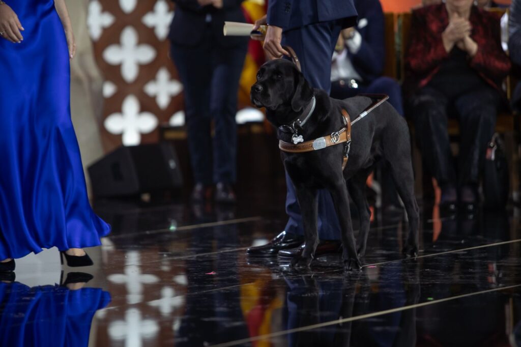 Imagen de galer&iacute;a 1971