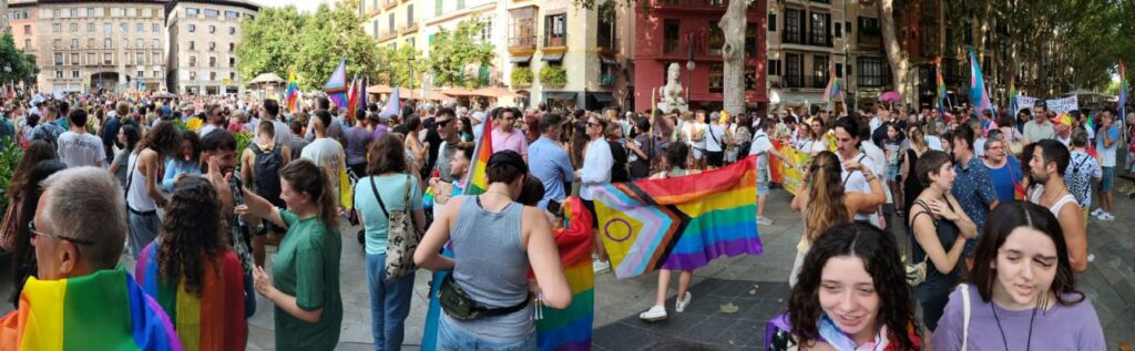 Imagen de galería 1435