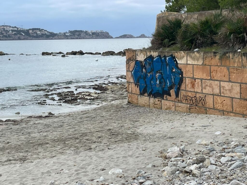 Imagen de galería 1661