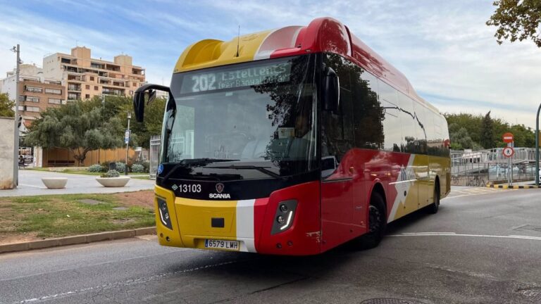 Unos 300 trabajadores del TIB de Mallorca irán a la huelga