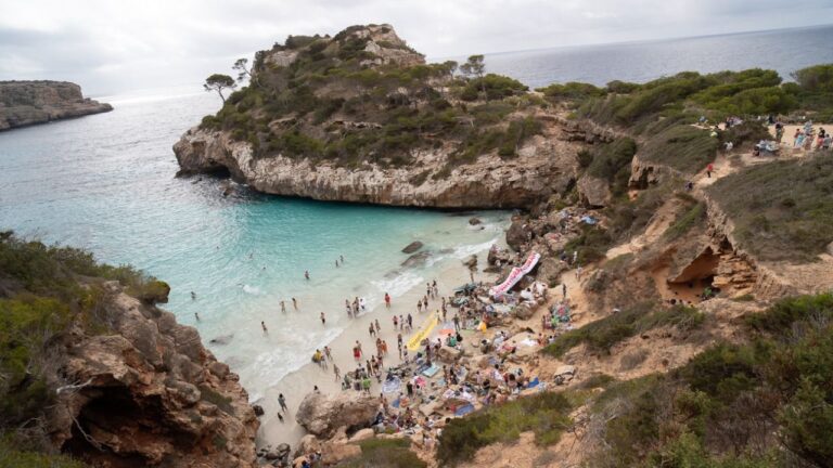 www.mallorcadiario.com fotos 1 486964 protesta en es cal0 des moro 276