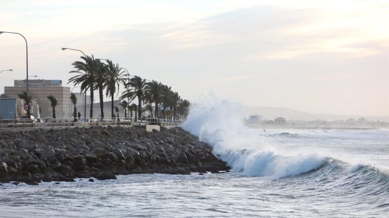 www.mallorcadiario.com fotos 1 486985 oelaje
