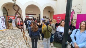 cesag estudiantes mallorcadiario