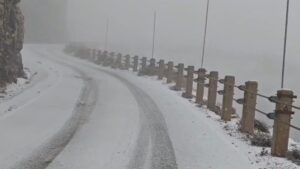 Imagen: @Albertdarder