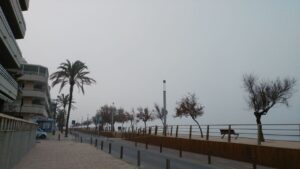 niebla