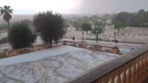 Imagen de la estampa que ha dejado el granizo en s'Alqueria Blanca. @meteodelesilles]