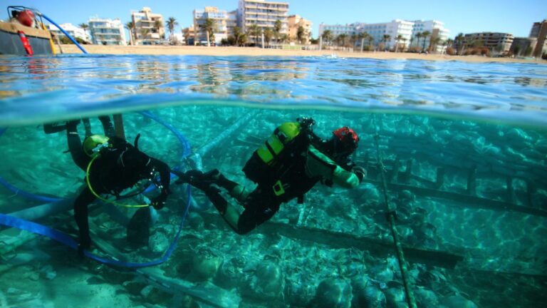 www.mallorcadiario.com fotos 1 487699 ses fontanelles pecio