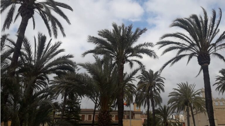 nubes