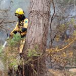 Bomberos de Mallorca