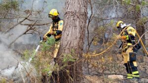 Bomberos de Mallorca
