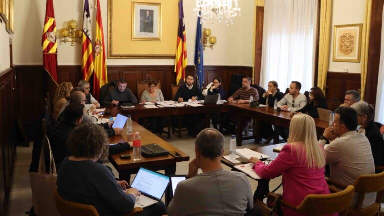 Okupación y construcciones en suelo rústico, a debate en el pleno de Santanyí.