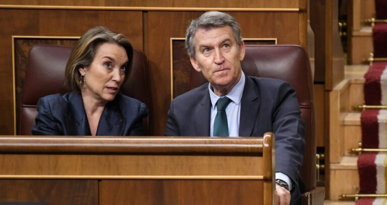 Feijóo y Gamarra en el Congreso