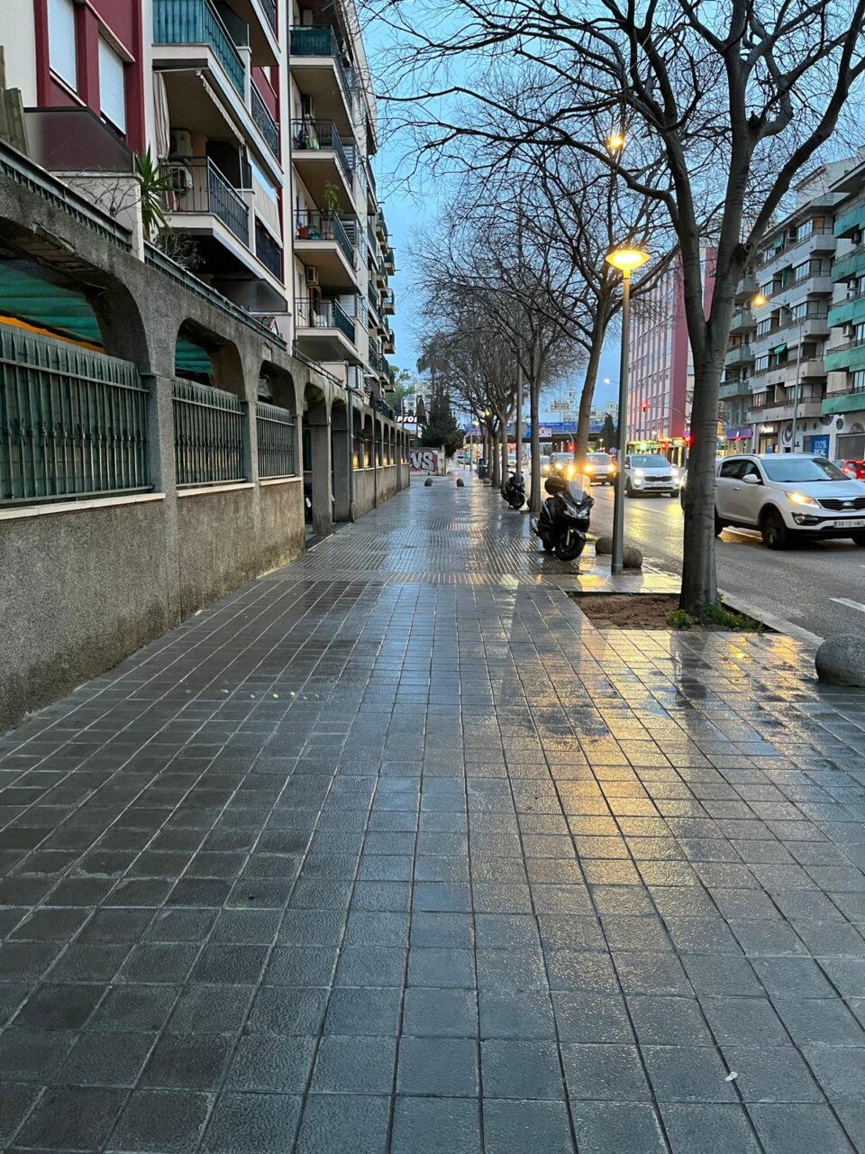 Palma a punt abril 