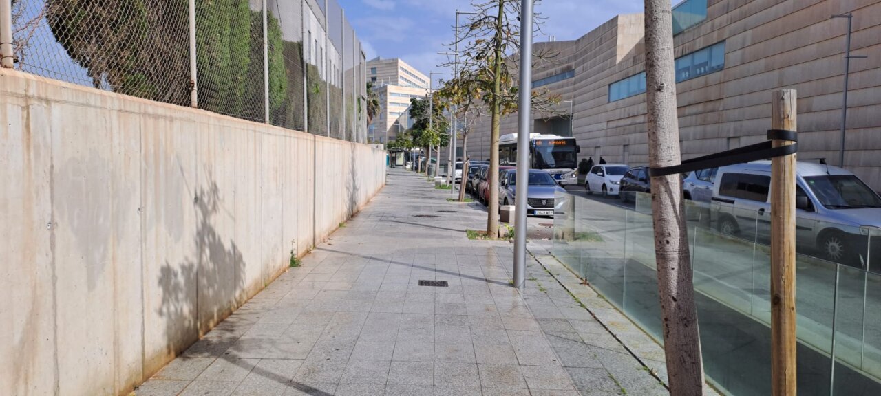 Palma a punt abril (04)