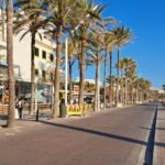 Proveedores y restauradores de Playa de Palma, ante un eclipse con accesos restringidos