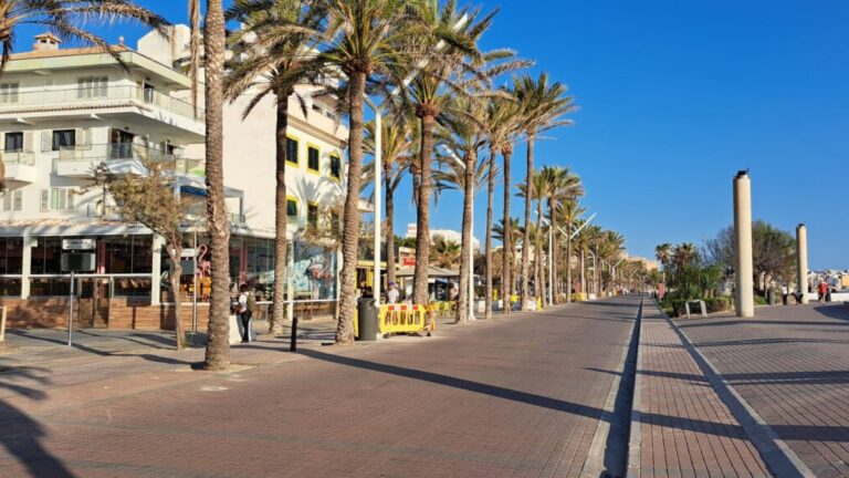 Proveedores y restauradores de Playa de Palma, ante un eclipse con accesos restringidos
