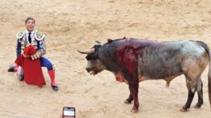 WhatsApp Image 2025 04 13 at 22.04.43