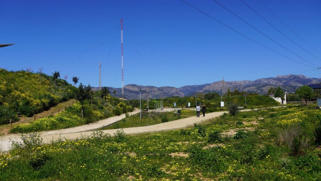 Imagen de galería 1996