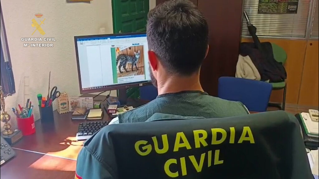 La Guardia Civil, durante la investigación. 