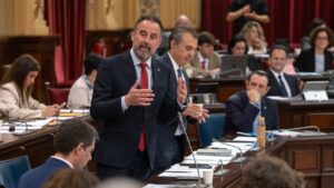 Mateo defiende el nuevo Decreto Ley 3/2025 en el Parlament