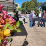 Vecinos de El Toro proponen actividades para dinamizar el mercado semanal