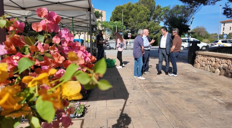 Vecinos de El Toro proponen actividades para dinamizar el mercado semanal