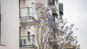 Foto: J. Fern&aacute;ndez Ortega