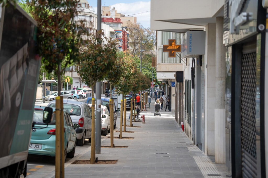 Barrios de Palma Son Armadams