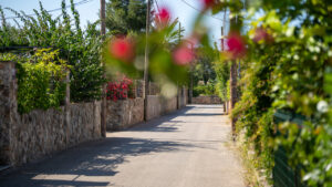 Barrios de Palma Son Espanyol