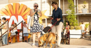 Desfile Solidario Peluditos