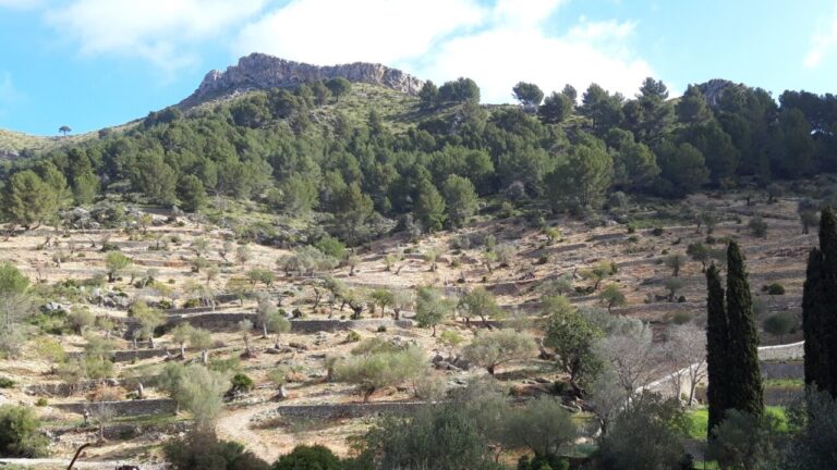 'Pancaritat en Familia': jornada de convivencia y naturaleza en la Finca Pública de Galatzó.