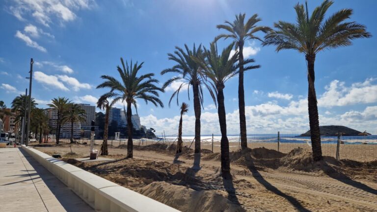 Obras de remodelación Paseo Marítim Magaluf