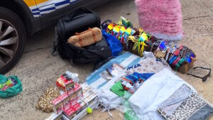 Art&iacute;culos requisados procedentes del top manta.