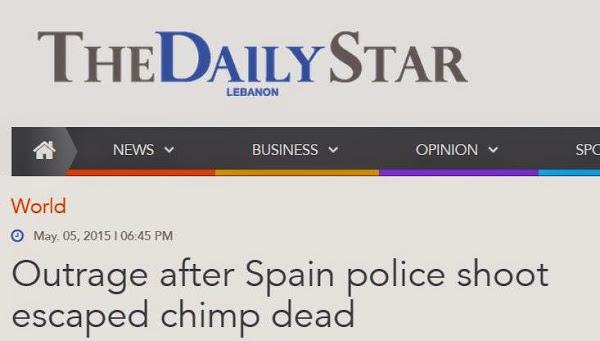 daily star libano chimpances sa coma